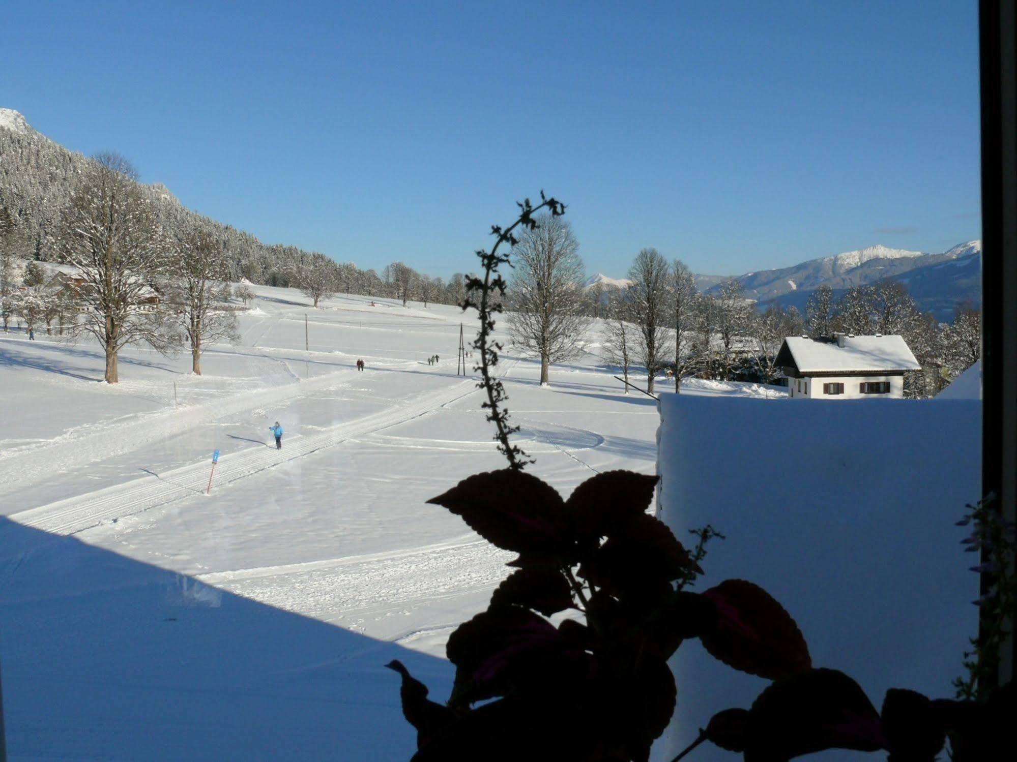 Ferienhotel Knollhof Ramsau am Dachstein Dış mekan fotoğraf